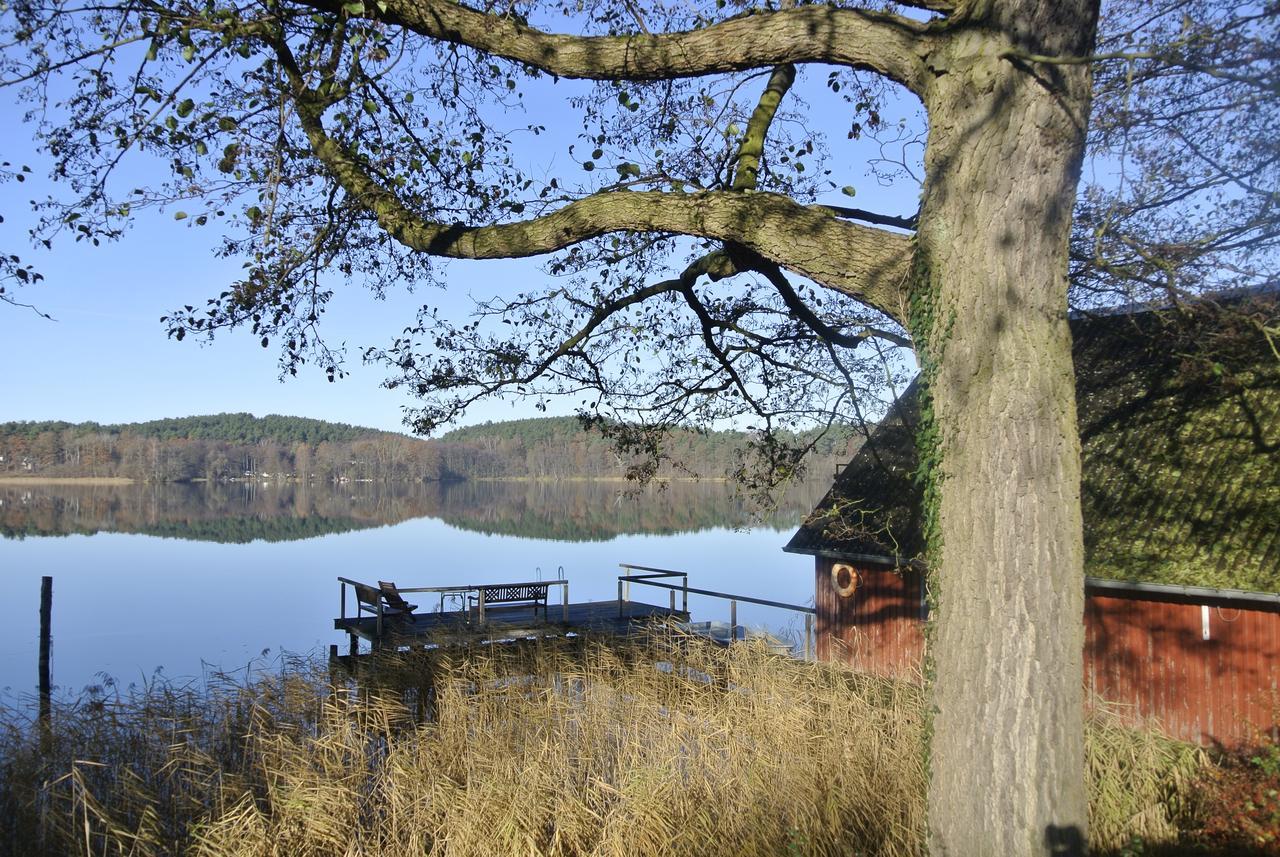 Seehotel Lindenhof Lychen Eksteriør billede